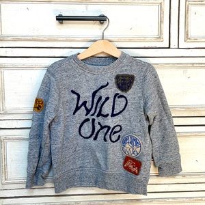 Gymboree Sweatshirt with Patches
